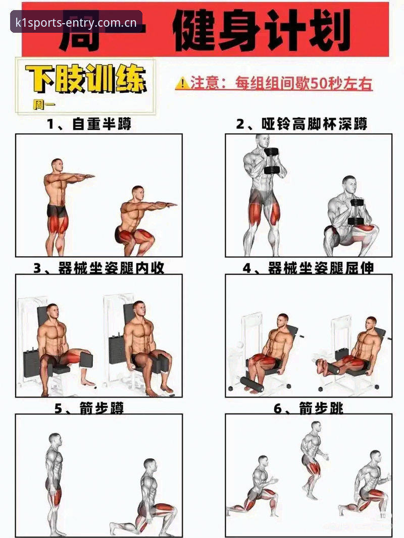 k1体育活动 从零开始的k1体育活动体验:5个关键步骤帮你快速上手